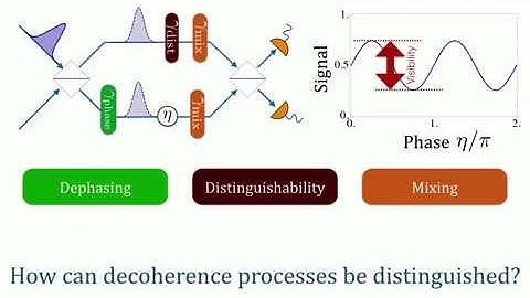 Double Fock superposition interferometry for differential diagnosis of decoherence