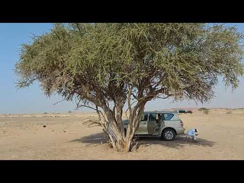 أرض أم معبد في وادي قديد على طريق الهجرة