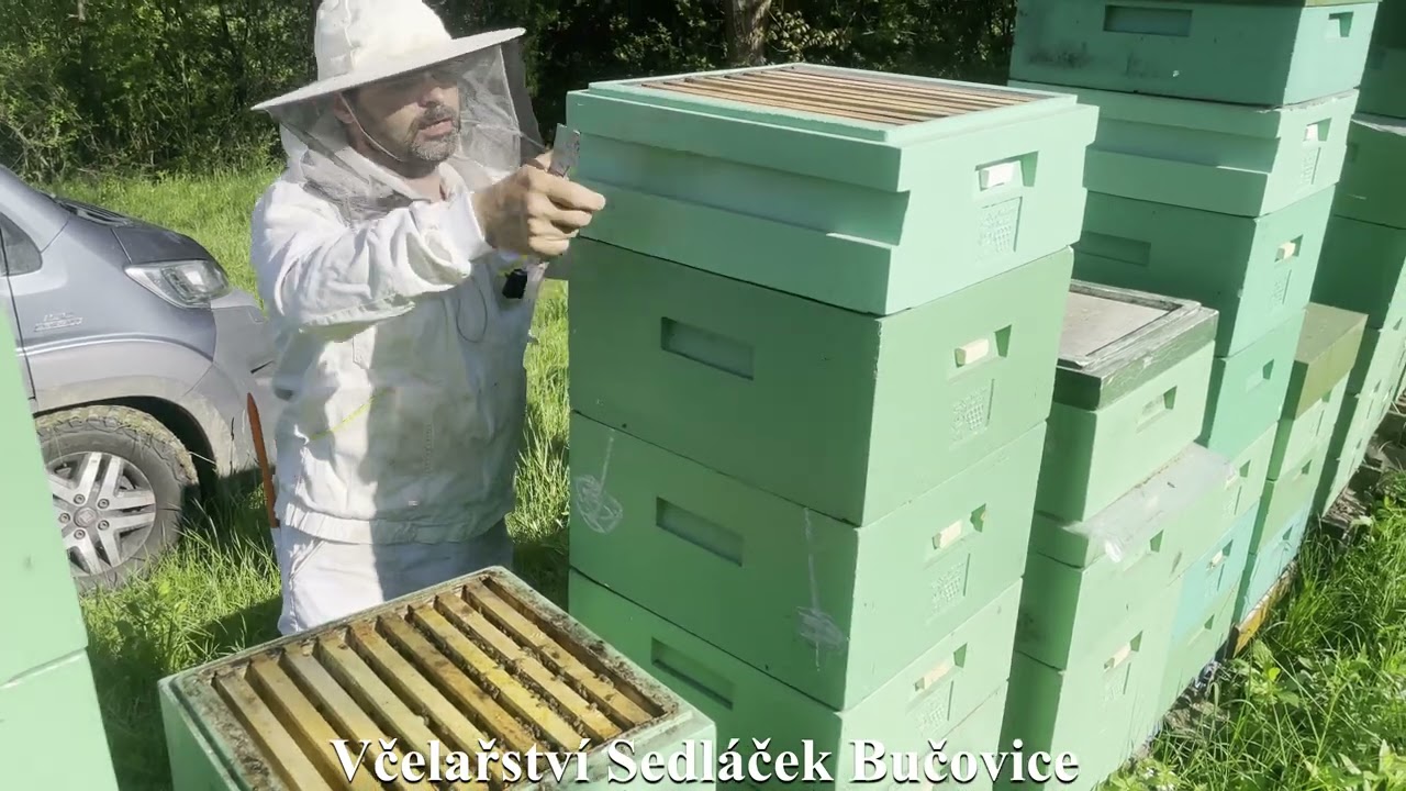99/21 Optimalizované plodiště J5 = obměna díla v PD, protirojová opatření 1/2. Včelařství Sedláček