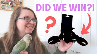 Northern Parrots Competition and Unboxing | BirdNerdSophie AD by BirdNerdSophie 635 views 3 months ago 12 minutes, 6 seconds