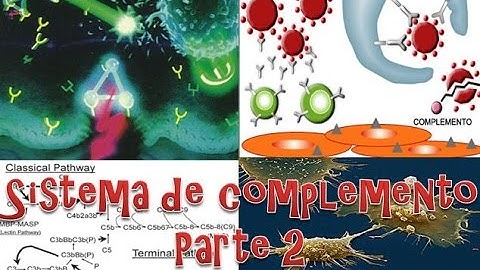 Sistema de complemento 2-Inmunología