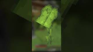 UMMMMM ACKCHYUALLY #shorts #minecraft #dripleaf Wealth