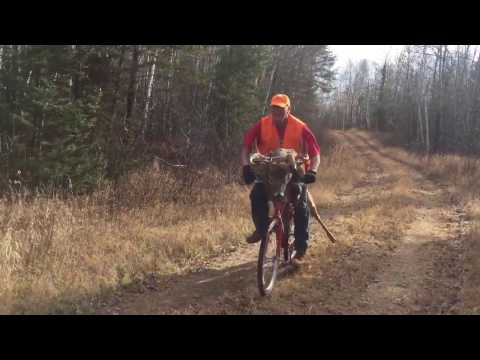 Hauling Deer with a Bicycle?