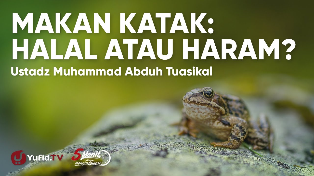 Hukum Makan Katak Haram atau Halal? - Ustadz Muhammad Abduh Tuasikal