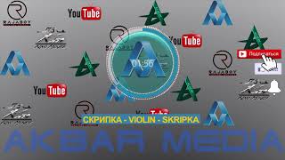 СКРИПКА   VIOLIN   SKRIPKA