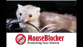 mouse blocker : stop rodents from eating your wires!