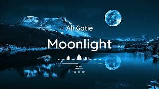 Ali Gatie  Moonlight  Slowed  Reverb 8d