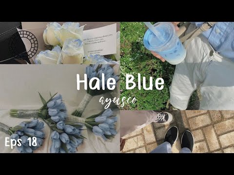 VSCO Tutorial || Cara edit preset Hale Blue || Aesthetic Filter