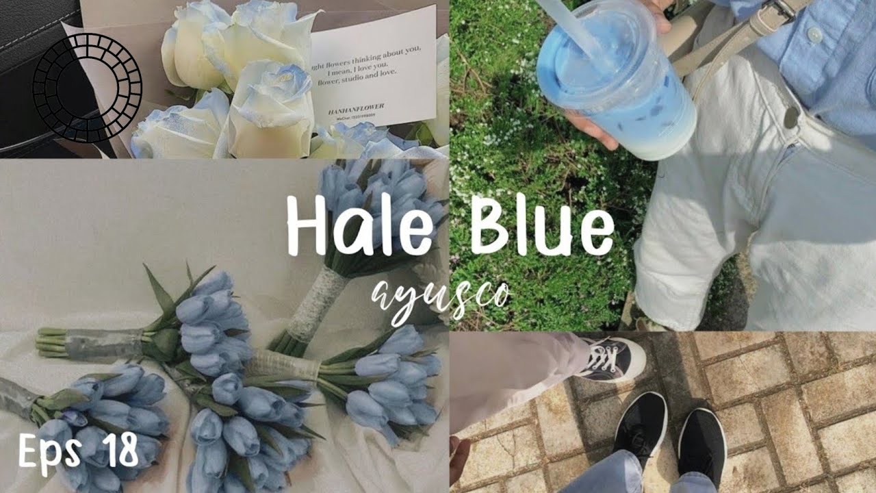 VSCO Tutorial || Cara edit preset Hale Blue || Aesthetic Filter