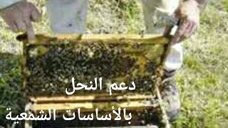 طريقة إضافة الأساسات الشمعية↩لتجييش النحل