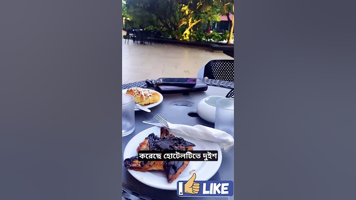 ঢাকার রেডিসন ব্লু ,কেমন ভিতরে