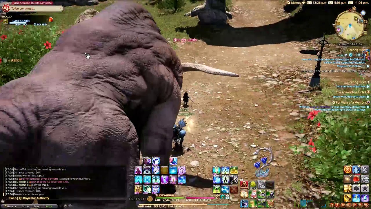 FFXIV - Battlecraft Leve: Clearing Steer (Eastern La Noscea)