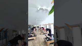 Elephant on the Reformer