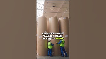 From Tree to Toilet Roll: The Fascinating Journey of Toilet Paper | The Decode Lab