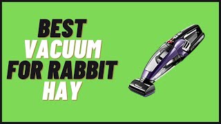 Best Vacuum for Rabbit Hay in 2022 