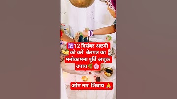 12 दिसंबर अष्टमी को करें  बेलपत्र का मनोकामना पूर्ति अचूक उपाय🌿🌸#pradeepmishra #upay #shiv #shorts