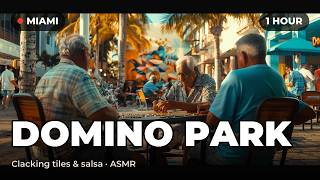 Little Havana Domino Park 🌴 1 Hour Clacking Tiles &amp; Salsa | Miami ASMR for Deep Focus