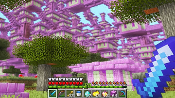 Minecraft UHC but i spawned 1,000,000 End Cities...