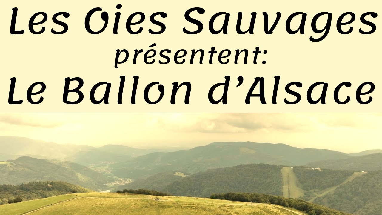 Le Ballon d'Alsace dans le massif des Vosges