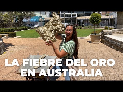 Video: ¿Son legales los sopladores en Australia?