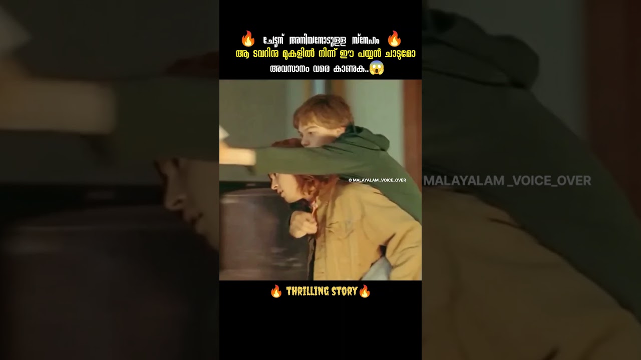 ഒടുവിൽ കാണുക...😱 | MALAYALAM VOICE OVER 