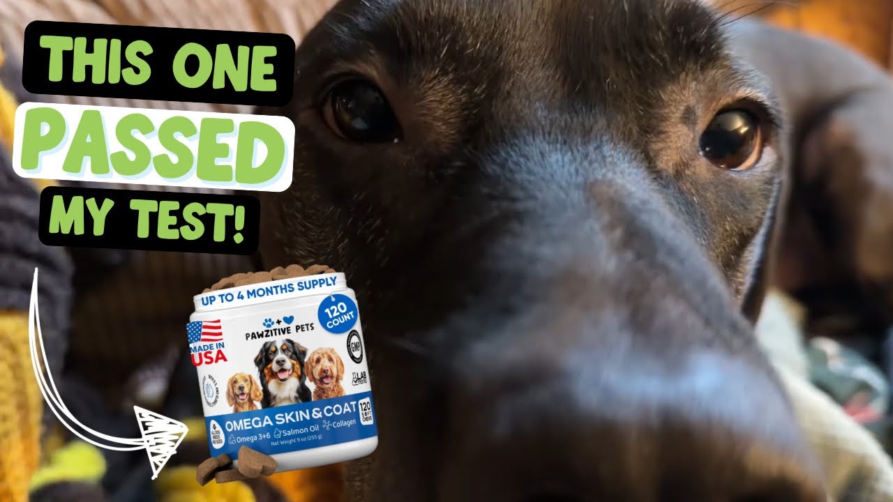 👉 **PURCHASE HERE** 👈 Pawzitive Pets Omega Skin & Coat--They have a phenomenal line of products!