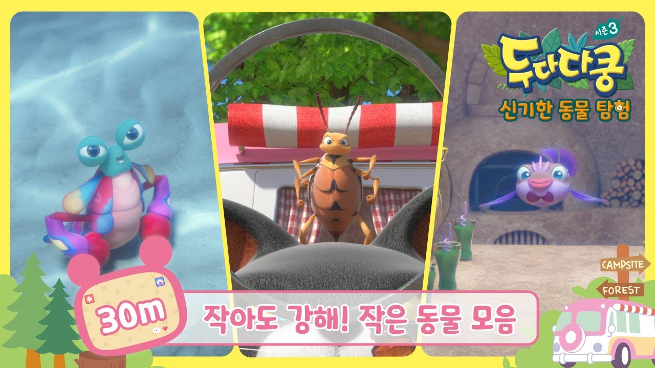 두다다쿵 50분스페셜 | 작아도 강해!  작은 동물 모음집! | 시즌3 4, 7, 25화 | 애니메이션 연속보기 | Duda&Dada