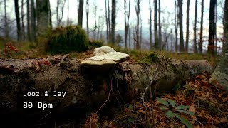 80 Bpm - Looz & Jay