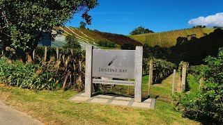 Destiny Bay Vineyard & Winery Tour (Full Tour)