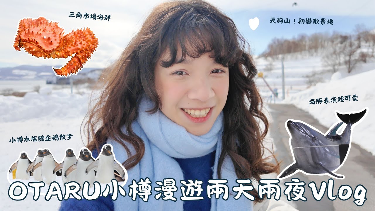小樽🤍電影般浪漫的城市！除了小樽運河還有哪裡可以去？小樽水族館企鵝散步跟海豚表演必來🐧