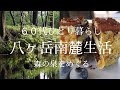 【八ヶ岳南麓60代一人暮らし】#31 大滝湧水/パンとケーキの店 Joichi / 井詰湧水(樅の木湧水) / camino natural Lab./ いつもの猫たち/移住暮らし/田舎暮らし