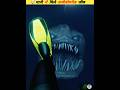       sea creatures you wont believe viral facts shorts