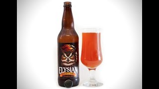 Elysian Night Owl Pumpkin Ale Review | Drinks Made Easy