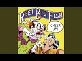 best ice fishing perch lures Best Ice Fishing Lures for Perch