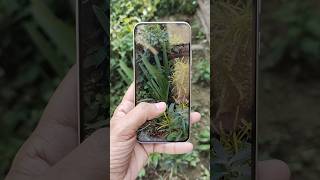 Oppo F33 5g Camera Test 🔥 #oppof33 #cameratest #oppo