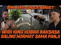 KING COBRA WIDI RAJA SEBENARNYA, PANJI SUNGKEM. BIMA ARYO SHOCK, TAKUT KEPALA PANJI DIPATOK