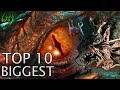 Top 10 Largest Dragons in All of Cinema