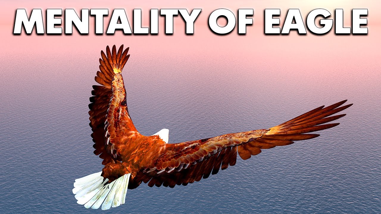 The Eagle Mentality - Learn how to control your mind. Best Motivational VIdeo