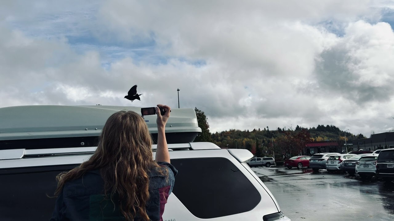 Elfie- til harbor, still water  