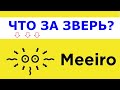 Что такое MEEIRO? Объяснение простыми словами