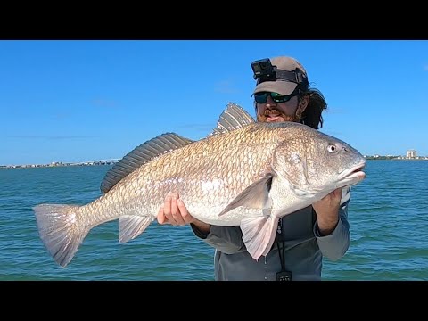 How To Get Picky Black Drum To Eat (Even If They've Turned Everything