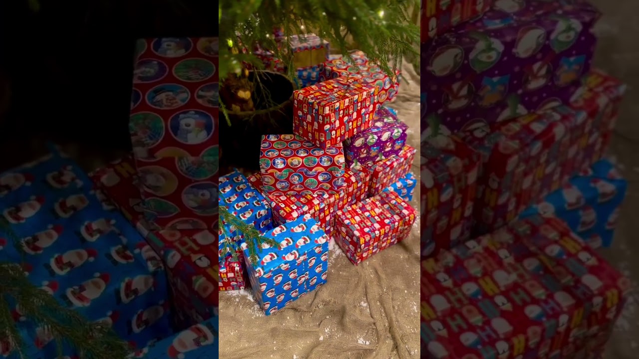 Festive Family Adventure at Pennywell 🎅👨‍👩‍👧‍👦