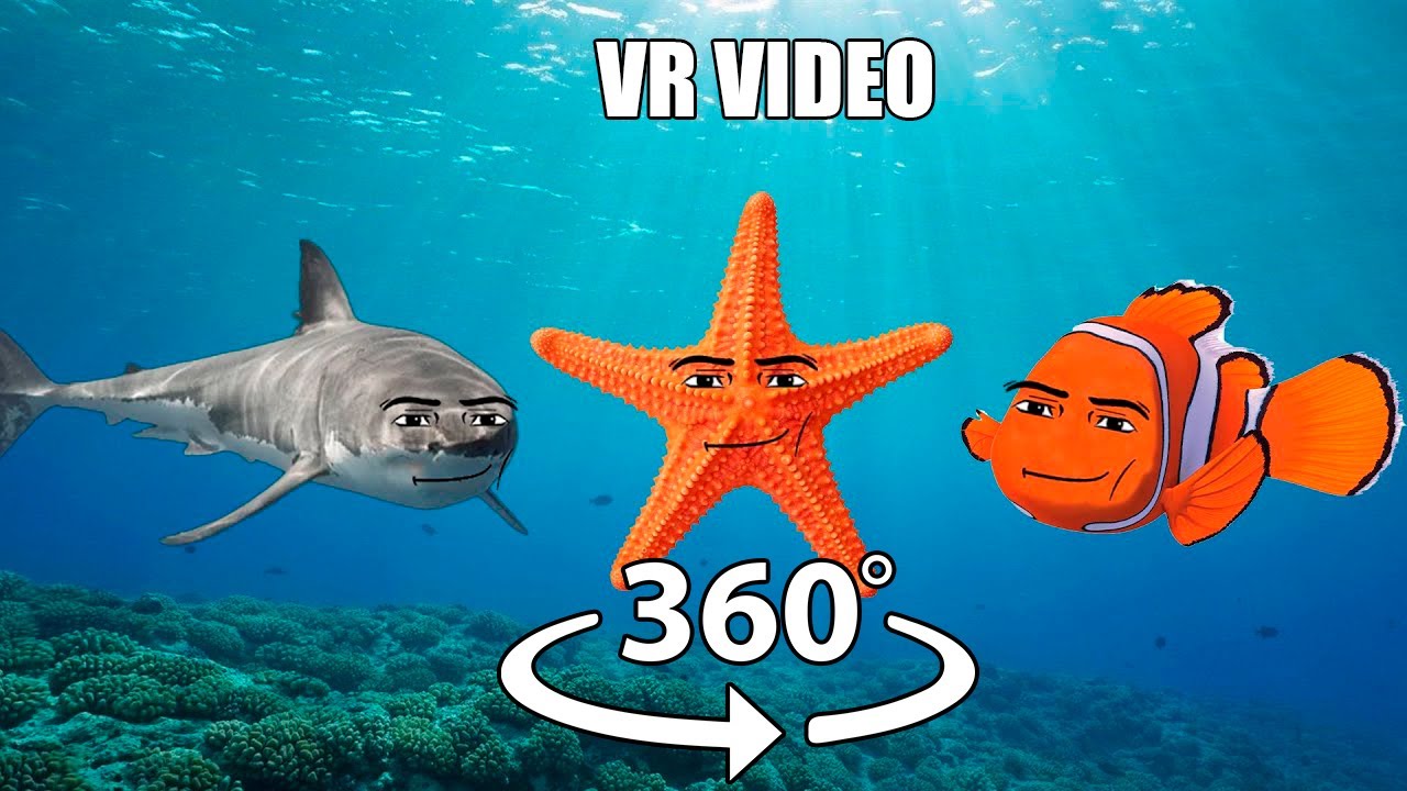 360° VR Oceanic gegagedigedagedago 4 - YouTube