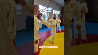 Uchiro Mikadzuki Geri. Наработка удара. #karate #каратэ #asairyu