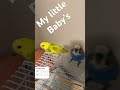 My little baby’s ❤️😘🥰🥰