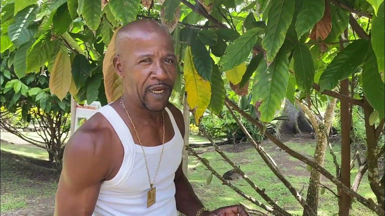 Fabrication du bâton de cacao avec Gilbert LAROSE La Savane des