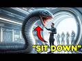 Aliens Stunned When Humans Treat Giant Space Worms as Pets | HFY Stories