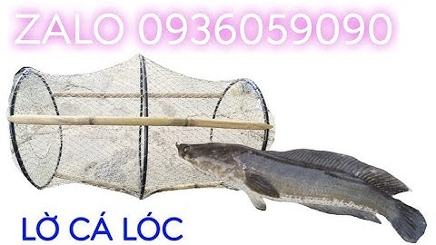Lờ bẫy cá. Lờ bẫy cá cải tiến. Lờ bẫy cá vành nhựa. Lờ cá lóc. Bẫy cá lóc. Bán lờ cá.