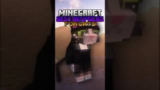 Best Resource Packs For Cats🐱 #minecraft #shorts #cat