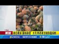 兩岸鳳梨貿易